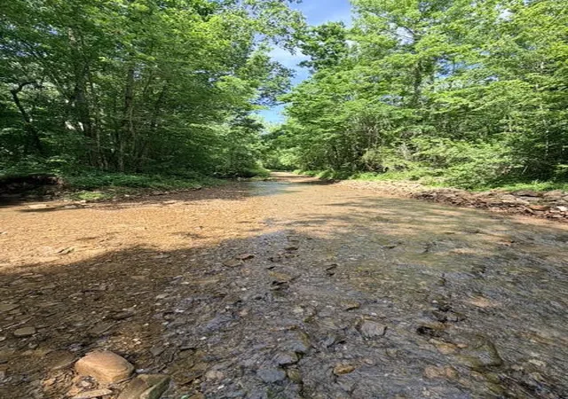 3rd image of 000 Terrapin Rd, Harrison, AR 72601 | MLS# 1356259