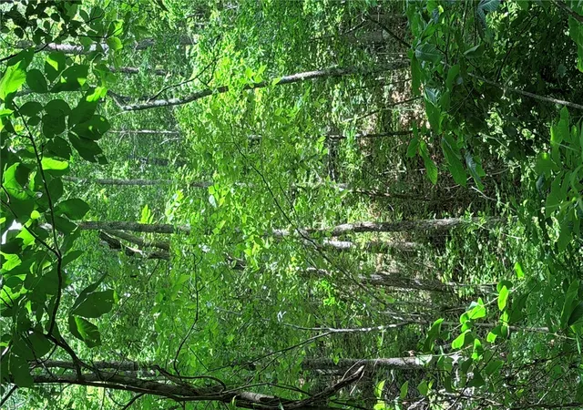 4th image of 000 Terrapin Rd, Harrison, AR 72601 | MLS# 1356259