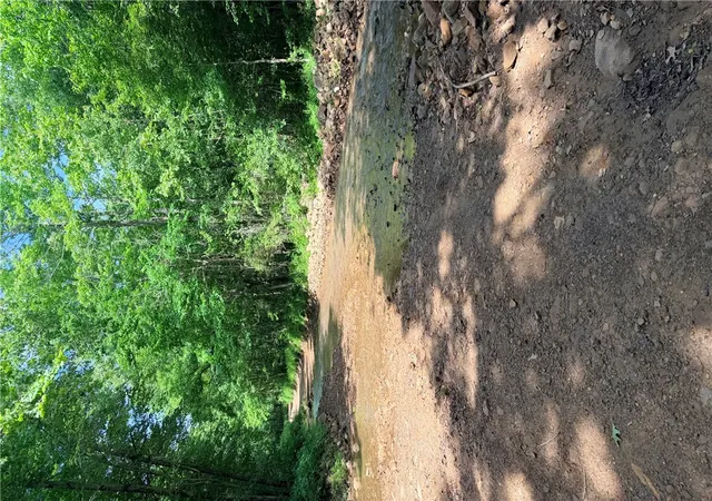 5th image of 000 Terrapin Rd, Harrison, AR 72601 | MLS# 1356259