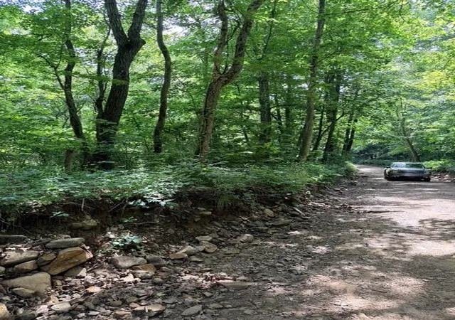 9th image of 000 Terrapin Rd, Harrison, AR 72601 | MLS# 1356259