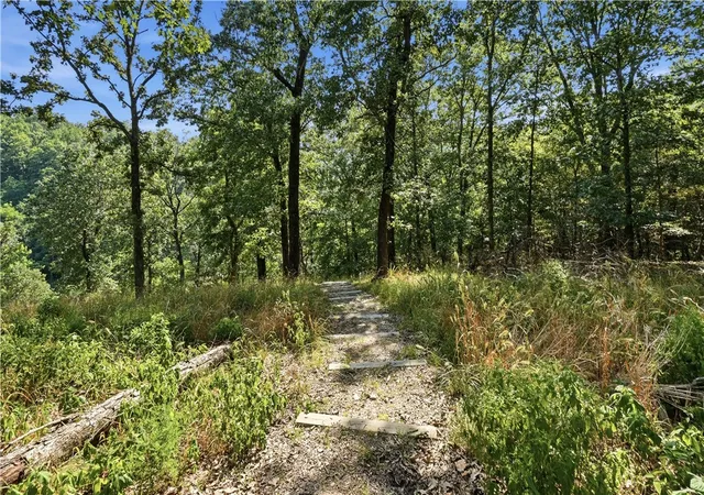 39th image of 12275 Blueberry Ln, Lowell, AR 72745 | MLS# 1356278