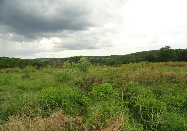 3rd image of 386 Reedville Rd, Saint Joe, AR 72675 | MLS# 1356459