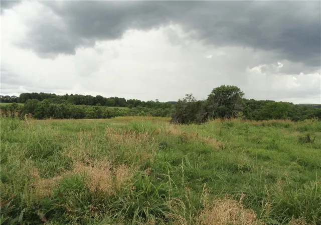 4th image of 386 Reedville Rd, Saint Joe, AR 72675 | MLS# 1356459