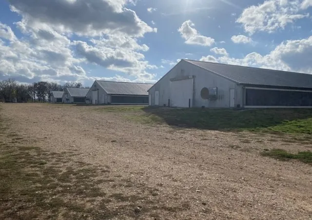 image of 000 Bozarth Cemetery Rd, Gentry, AR 72734 | MLS# 1356482