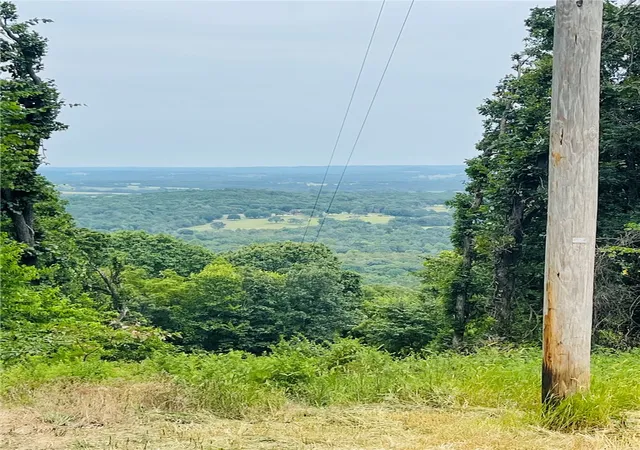 1st image of Tbd Cr 246, Berryville, AR 72616 | MLS# 1356413