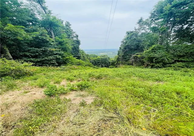 2nd image of Tbd Cr 246, Berryville, AR 72616 | MLS# 1356413
