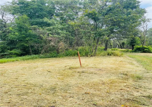4th image of Tbd Cr 246, Berryville, AR 72616 | MLS# 1356413