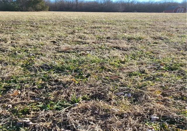 3rd image of Green Acres 325 Ac, Springdale, AR 72764 | MLS# 1356502