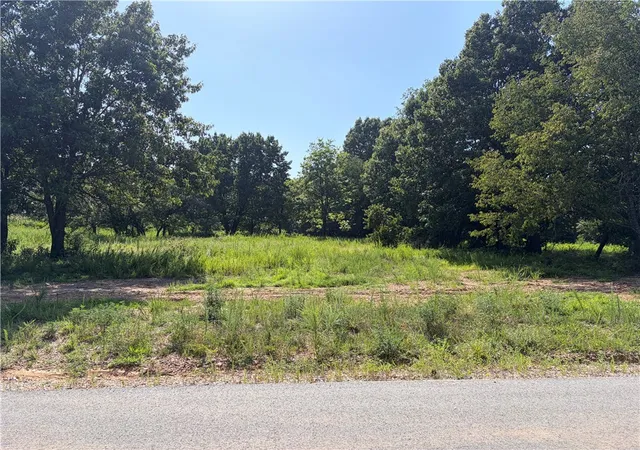 image of 13125 Wallys Wy, Gentry, AR 72734 | MLS# 1356458