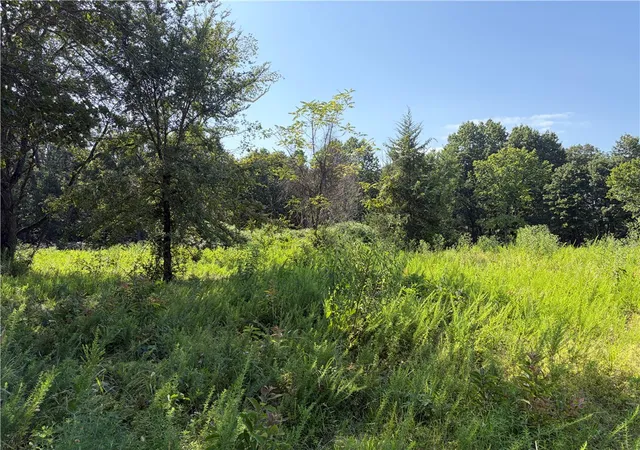 image of 13113 Wallys Wy, Gentry, AR 72734 | MLS# 1356518