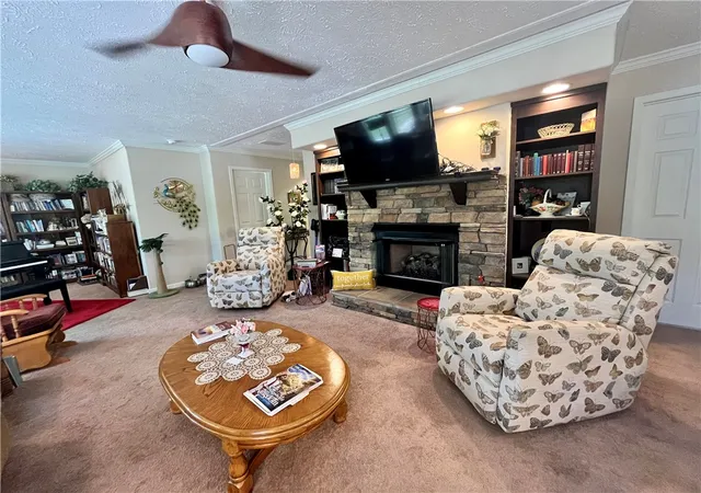 4th image of 289 Nc 3990, Jasper, AR 72641 | MLS# 1356368