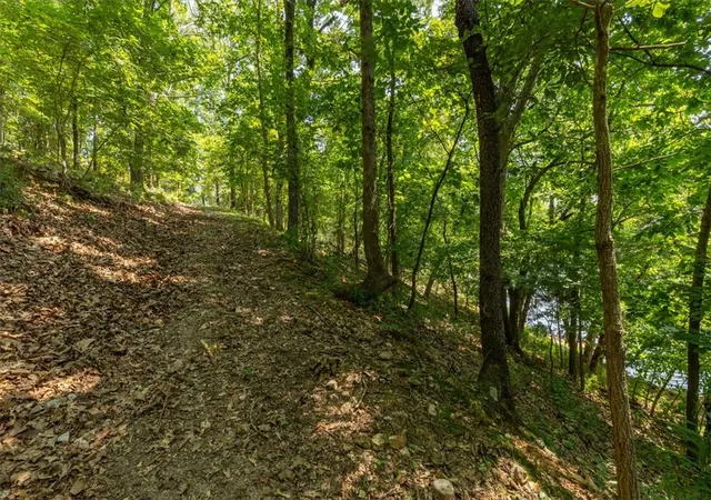 23rd image of Lots 40 &41 Stonehaven Dr, Bella Vista, AR 72715 | MLS# 1356283