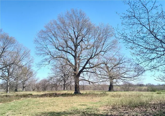 4th image of 40Acres Hewitt Springs Rd, Springdale, AR 72764 | MLS# 1356505