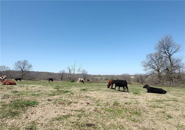 5th image of 40Acres Hewitt Springs Rd, Springdale, AR 72764 | MLS# 1356505