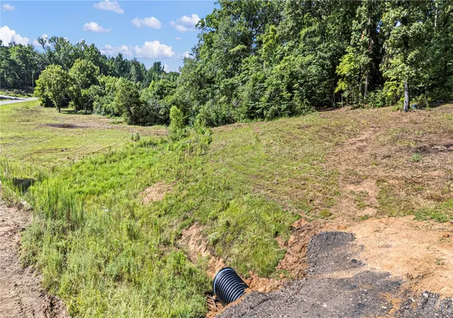 5th image of Tract 4 - 13610 N Sr 105, Hector, AR 72843 | MLS# 1356539