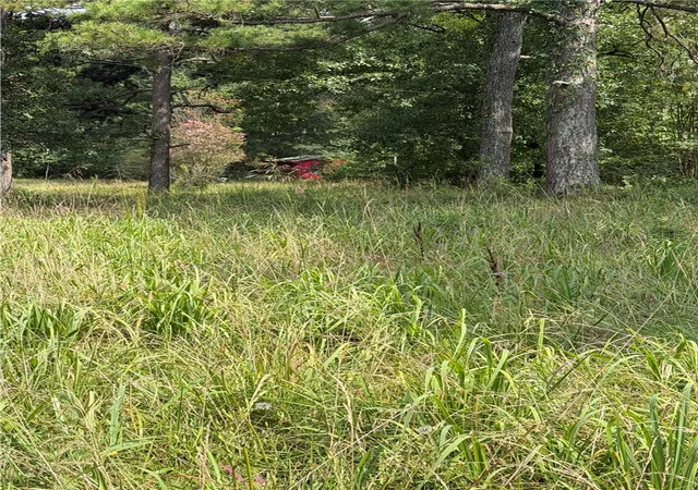2nd image of 13149 W Hwy 22, Dardanelle, AR 72834 | MLS# 1356618
