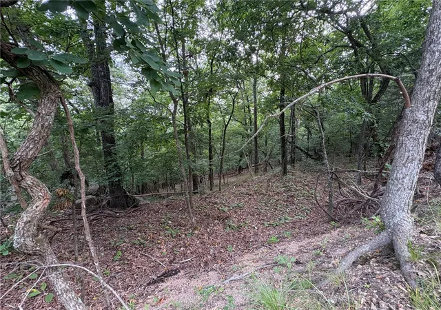 3rd image of Lots 70, 71 W Airport Rd, Garfield, AR 72732 | MLS# 1356375