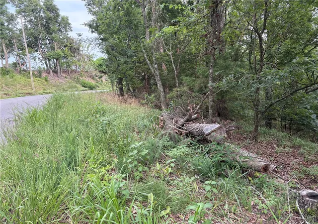 4th image of Lots 70, 71 W Airport Rd, Garfield, AR 72732 | MLS# 1356375
