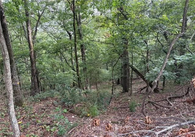 5th image of Lots 70, 71 W Airport Rd, Garfield, AR 72732 | MLS# 1356375