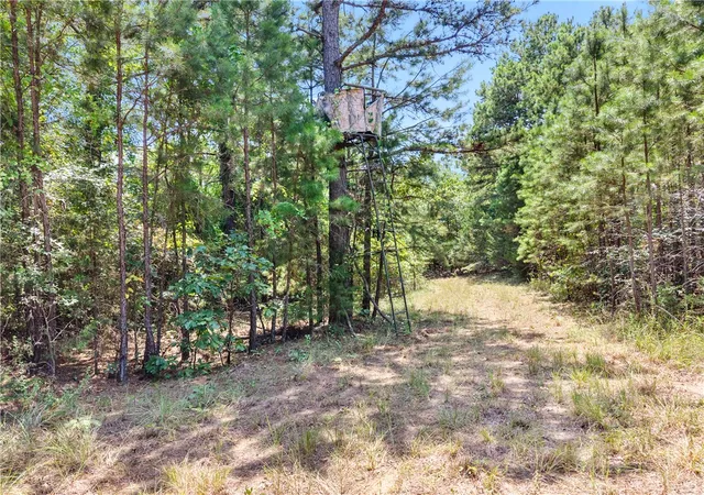 57th image of 4923 Wire Rd, Ozark, AR 72949 | MLS# 1356460