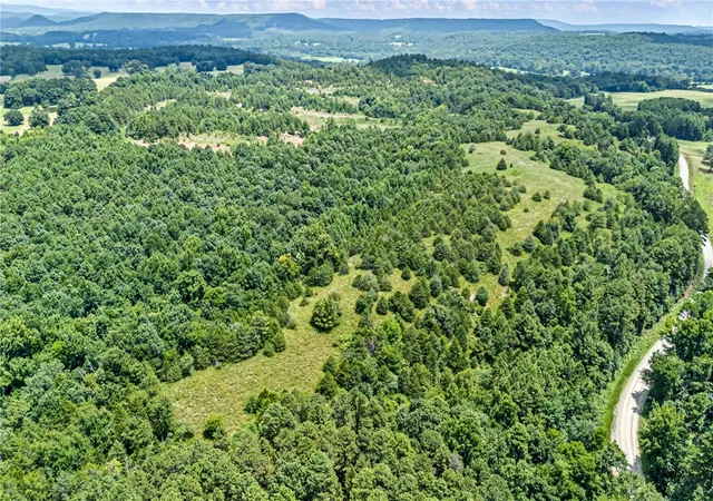 9th image of 2301 Cr 3630, Lamar, AR 72846 | MLS# 1356710