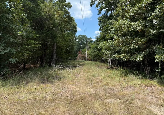 Land for sale at 00 Norris Ln, Russellville, AR 72802 | MLS# 1356566