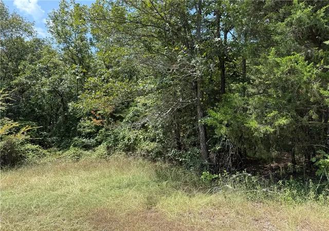 Photo 3 of House for sale at 00 Norris Ln, Russellville, AR 72802 | MLS# 1356566 | Listing updated on 2026-08-03