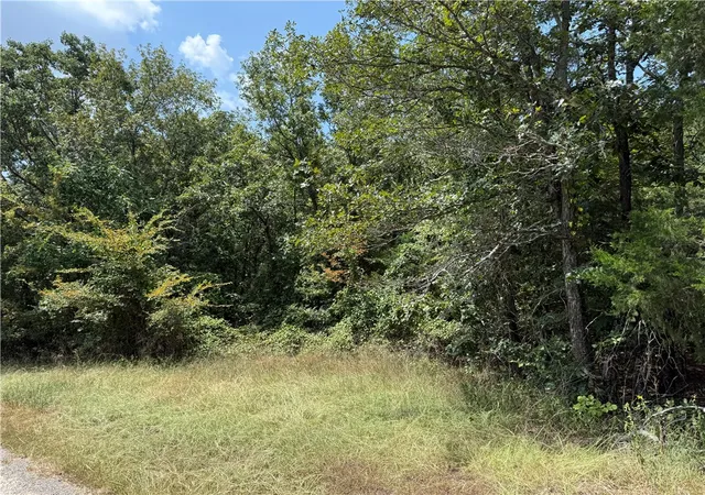 Photo 4 of House for sale at 00 Norris Ln, Russellville, AR 72802 | MLS# 1356566 | Listing updated on 2026-08-03