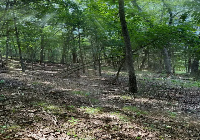 1st image of Lot 40 Pine Dr, Garfield, AR 72732 | MLS# 1356759