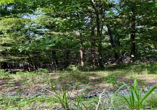 2nd image of Lot 40 Pine Dr, Garfield, AR 72732 | MLS# 1356759