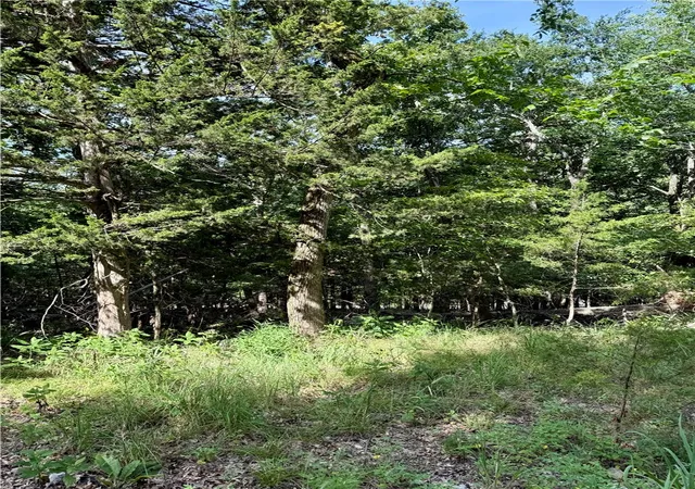 3rd image of Lot 40 Pine Dr, Garfield, AR 72732 | MLS# 1356759