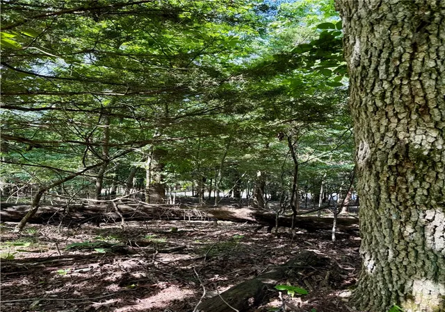 4th image of Lot 40 Pine Dr, Garfield, AR 72732 | MLS# 1356759