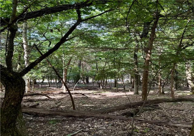 5th image of Lot 40 Pine Dr, Garfield, AR 72732 | MLS# 1356759