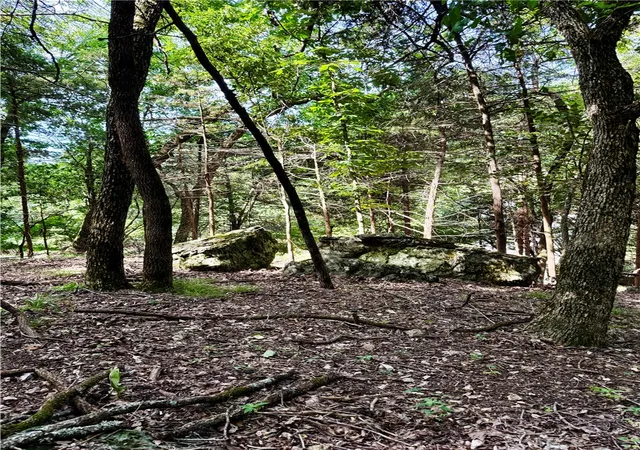 1st image of Lot 39 Pine Dr, Garfield, AR 72732 | MLS# 1356760