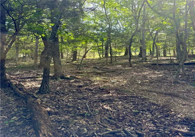 2nd image of Lot 39 Pine Dr, Garfield, AR 72732 | MLS# 1356760