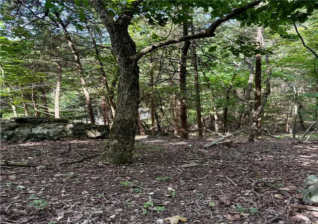 3rd image of Lot 39 Pine Dr, Garfield, AR 72732 | MLS# 1356760