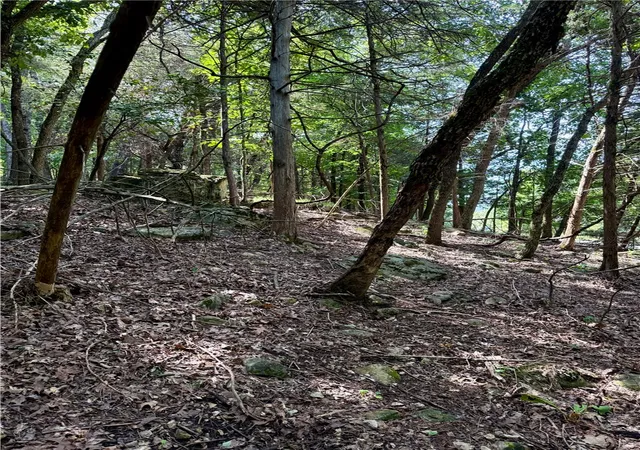 4th image of Lot 39 Pine Dr, Garfield, AR 72732 | MLS# 1356760