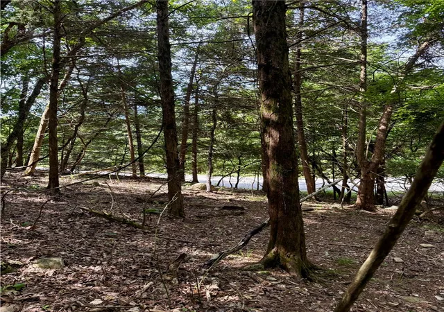 5th image of Lot 39 Pine Dr, Garfield, AR 72732 | MLS# 1356760