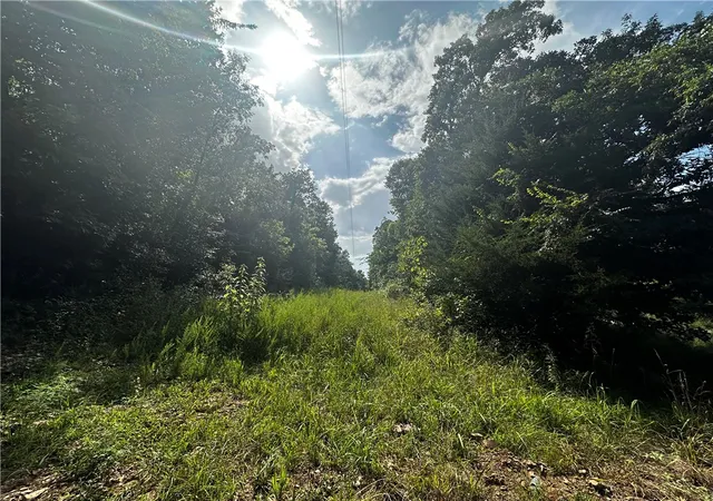 2nd image of 4021 Marion County, Everton, AR 72633 | MLS# 1356324