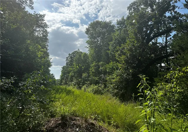 3rd image of 4021 Marion County, Everton, AR 72633 | MLS# 1356324