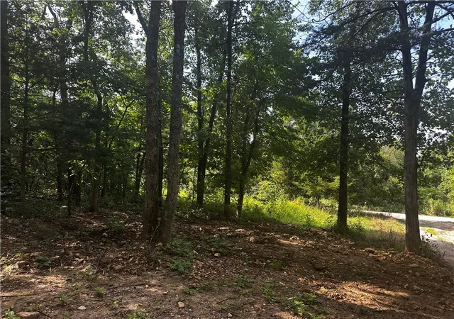 4th image of 4021 Marion County, Everton, AR 72633 | MLS# 1356324