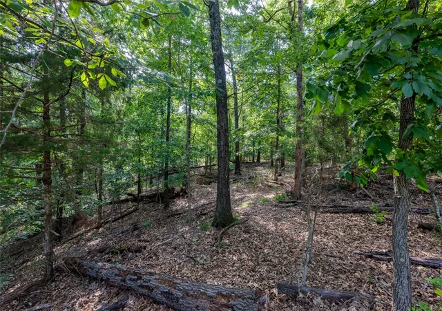 image of 12 Blakeney Ln, Bella Vista, AR 72714 | MLS# 1356862