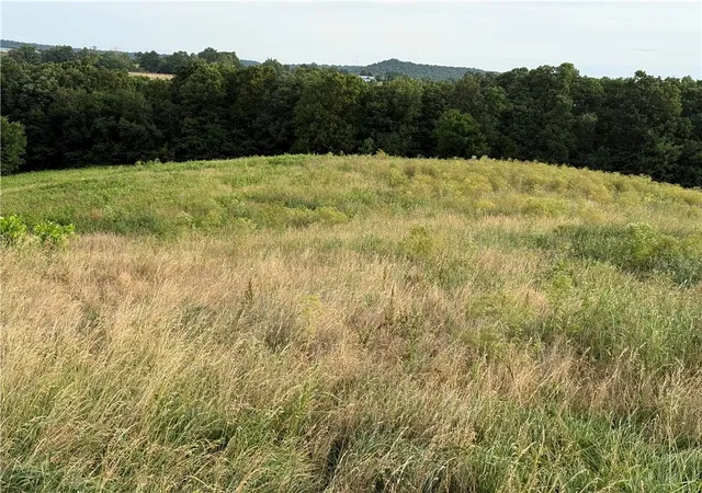 3rd image of Madison 760, Hindsville, AR 72738 | MLS# 1356865