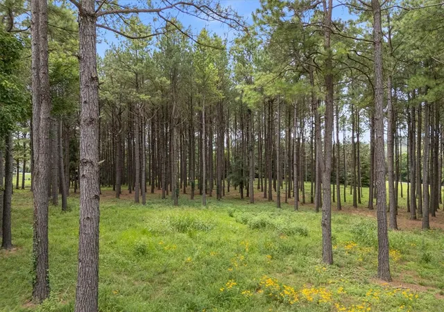 Photo 3 of Land for sale at 25 Pine Meadow Dr, Berryville, AR 72616 | MLS# 1356892 | Listing updated on 2026-07-28