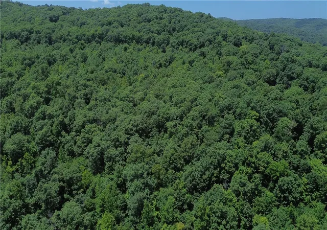 3rd image of Tbd Ar-23, Combs, AR 72721 | MLS# 1356848