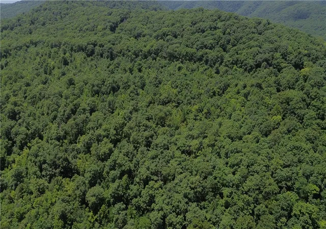 5th image of Tbd Ar-23, Combs, AR 72721 | MLS# 1356848