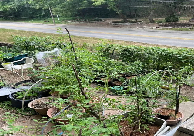 28th image of 287 N Main St, Eureka Springs, AR 72632 | MLS# 1357052