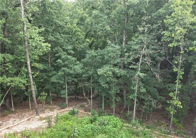 2nd image of 16 Weedon Ln, Bella Vista, AR 72714 | MLS# 1357069