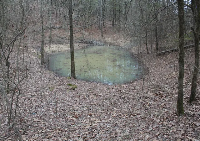 3rd image of 8737 Six Mile Rd, Magazine, AR 72943 | MLS# 1357083
