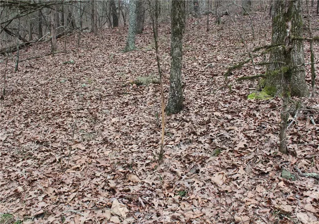 4th image of 8737 Six Mile Rd, Magazine, AR 72943 | MLS# 1357083